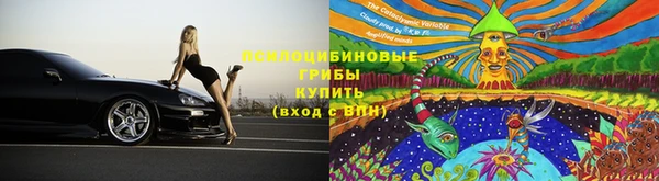 СК Бородино