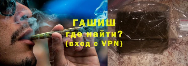гидра Богородицк