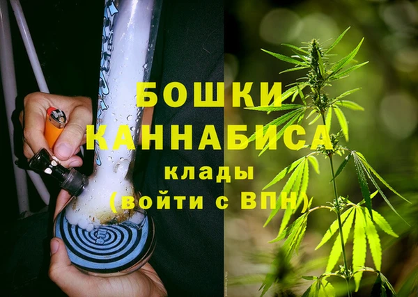 молекула духа Бугульма