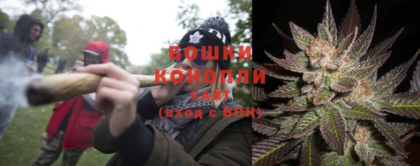 молекула духа Бугульма